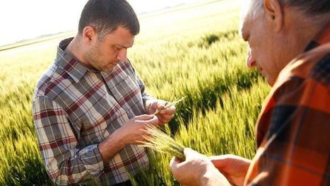 Formations à l'agro-écologie proposées par Ver de Terre Production | CIHEAM Press Review | Scoop.it
