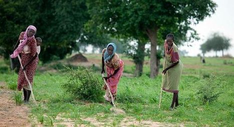 Promoting equitable land ownership in Ethiopia and Rwanda | Gender & Protection in East Africa | Scoop.it
