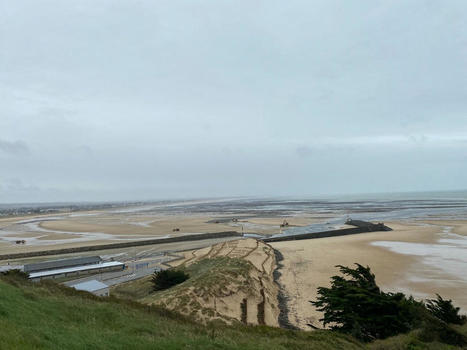 Cotentin. Pourquoi des milliers de mètres cubes ont-ils été extraits de ces plages ? | Regards croisés sur la transition écologique | Scoop.it