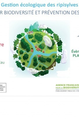 Gestion écologique des ripisylves - Sélection documentaire | Biodiversité | Scoop.it