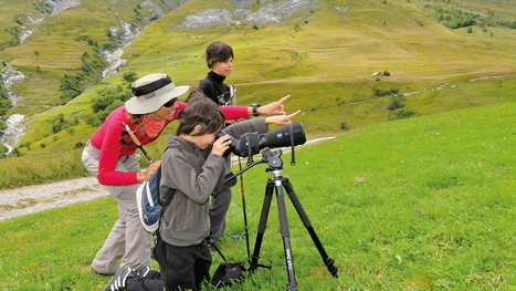 Le tourisme entre conscience &eacute;cologique et marketing vert | Vari&eacute;t&eacute;s entomologiques | Scoop.it