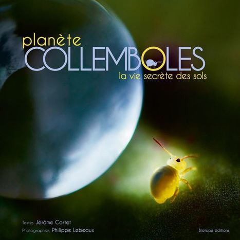 Planète collemboles, la vie secrète des sols - Biotope éditions | Variétés entomologiques | Scoop.it