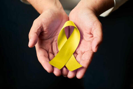 Telehealth Suicide Prevention & Clinical Support | Crisis Intervention Counseling | Scoop.it