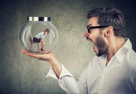 #Recomiendo: #Liderazgo con ira o agresividad. Proceso cerebral | Empresa Sostenible | Scoop.it
