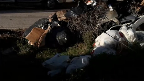 Alief neighbors say heavy trash is piling up alongside illegal dumping in neighborhood | Industry 411 - Waste Management | Scoop.it