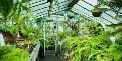 Jardin botanique : visiter les serres en hiver | Variétés entomologiques | Scoop.it