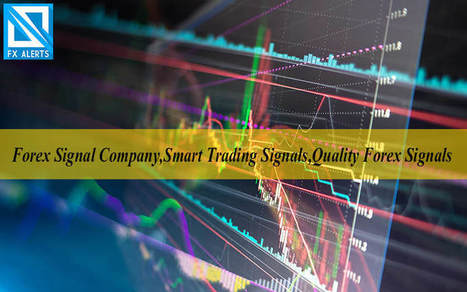 Forex Signal Company Smart Trading Signals Scoop It - 