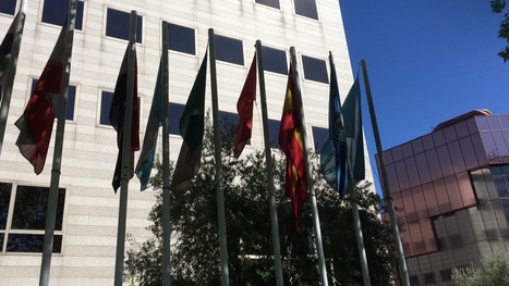 Expertos internacionales analizan las últimas novedades sobre evaluación organoléptica | OLIVE NEWS | Scoop.it