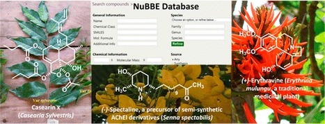 Development of a Natural Products Database from the Biodiversity of Brazil | Natural Products Chemistry Breaking News | Scoop.it