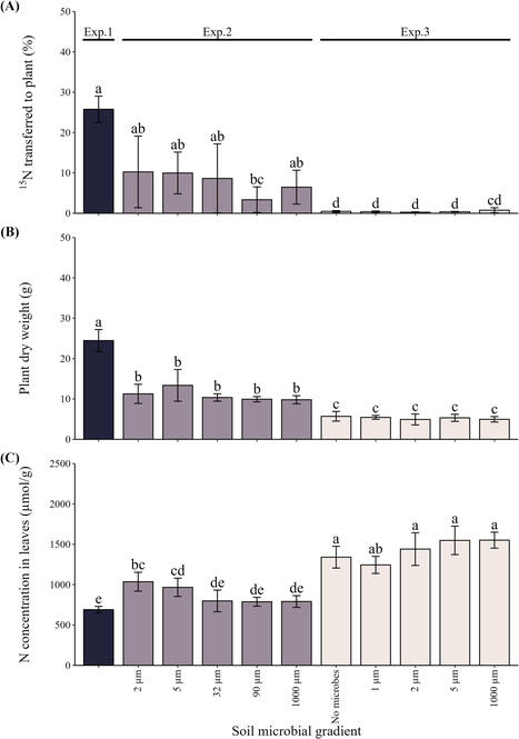 Low spatial mobility of associated microbes along the hyphae limits organic nitrogen utilization in the arbuscular mycorrhizal hyphosphere | Plant-Microbe Symbiosis | Scoop.it