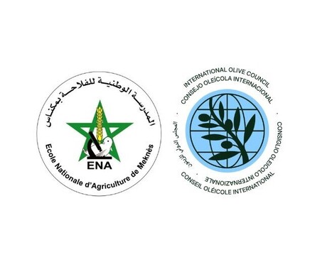 IOC and ENA Meknès strengthen partnership in olive research and education | OLIVE NEWS | Scoop.it
