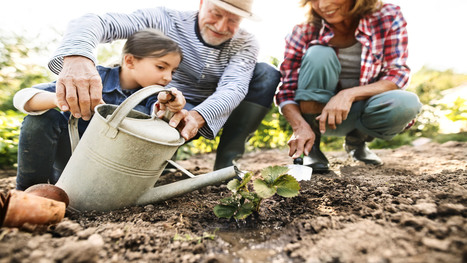 3 Tips To Save Your Back While Gardening | El Paso, Tx.&nbsp;| Call: 915-850-0900 or 915-412-6677 | Spine Health & Spinal Hygiene | Scoop.it