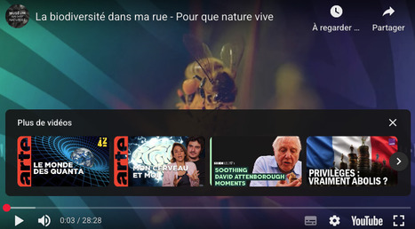 La biodiversité dans ma rue | Muséum national d’Histoire naturelle | La SELECTION du Web | CAUE des Vosges - www.caue88.com | Scoop.it