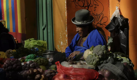 BOLIVIE : Abandonne son ancrage au dollar pour lutter contre la p&eacute;nurie de devises&nbsp; | AM&Eacute;RIQUES | Scoop.it
