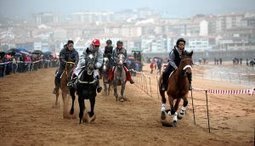 Caballos contra viento y marea - MENDEXA | Caballo, Caballos | Scoop.it