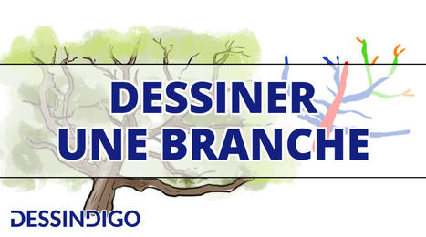 Dessiner une branche - Blog - Dessindigo | pédagogie et numérique | Scoop.it
