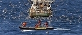 European fisheries - size does matter! | OUR OCEANS NEED US | Scoop.it