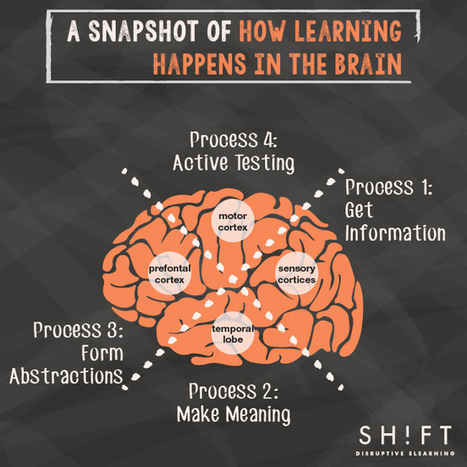 How the Brain Learns—A Super Simple Explanation for eLearning Professionals | Information and digital literacy in education via the digital path | Scoop.it