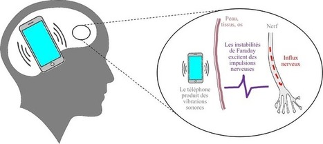 Quel est le rapport entre des vers de terre sur un haut-parleur et une interface homme-machine ? Bienvenue chez les Ig Nobels | EntomoScience | Scoop.it