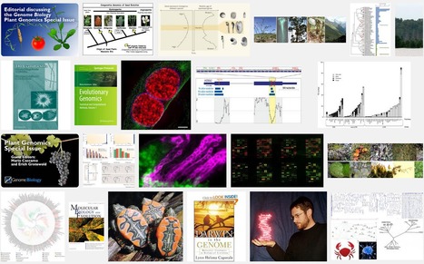 Amazing Science: Evolution Postings | Amazing Science | Scoop.it