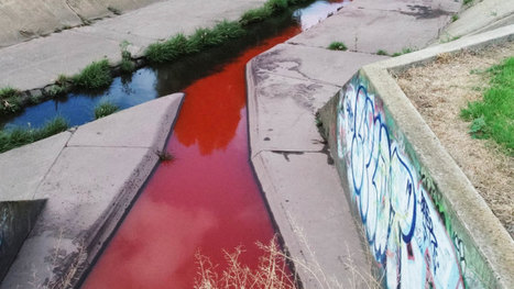 'Avoid contact with water': EPA is warning people to avoid Stony Creek in Melbourne's west after an unknown pollutant turned it blood red over the weekend / 23.09.2019 | Pollution accidentelle des eaux par produits chimiques | Scoop.it