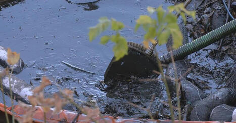 Neighbors push for answers after oil, sludge seen in Louisville waterway after UPS crash | Local News | wdrb.com / le 06.11.2025 | Pollution accidentelle des eaux (+ déchets plastiques) | Scoop.it