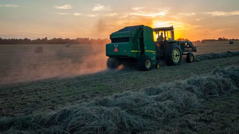 Farmers in PORTUGAL demand &euro;140 million package to offset rising costs | CIHEAM Press Review | Scoop.it