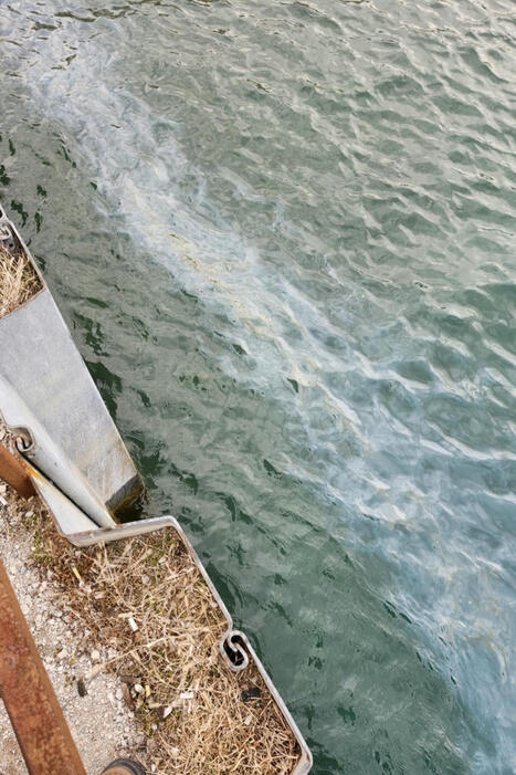 COMMUNITY VOICE: Suncors’ Crude Oil Spill on the Gchigami-Ziibii (St.Clair River) / le 25.04.2025 | Pollution accidentelle des eaux (+ déchets plastiques) | Scoop.it