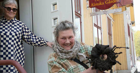 Nya ägaren investerar dubbelt i Almska gården – hoppas på lokala idéer för att klara vintern | Östnyland | 1Uutiset - Lukemisen tähden | Scoop.it