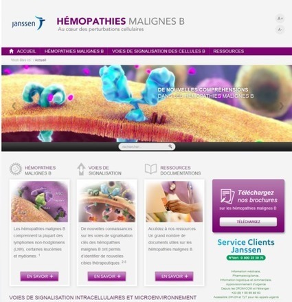 Nouveau site web pour tout savoir des hémopathies malignes | Buzz e-sante | Scoop.it