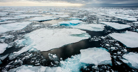 Climat : la courbe des températures ne descend pas | Planète DDurable | Scoop.it
