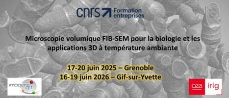 New training session on FIB-SEM applications to biology at ambient temperature | I2BC Paris-Saclay | Scoop.it
