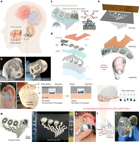In-ear integrated sensor array for the continuous monitoring of brain activity and of lactate in sweat | Nature Biomedical Engineering | HMD hot spot | Scoop.it
