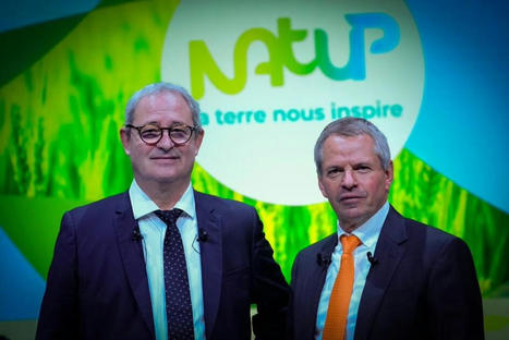 La coopérative NatUp présente un chiffre d’affaires stable en 2020/2021 et des projets à horizon 2025 | Actualité Bétail | Scoop.it