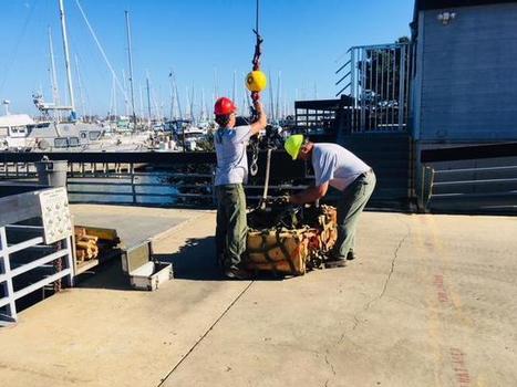 20 Million Plus Year Old Fossils Recovered From Channel Islands; Now In Santa Barbara For Study | KCLU | Coastal Restoration | Scoop.it