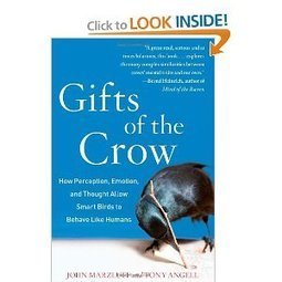 Gifts of the Crow: How Perception, Emotion, and Thought Allow Smart Birds to Behave Like Humans (by John Marzluff, Tony Angell) | CxBooks | Scoop.it