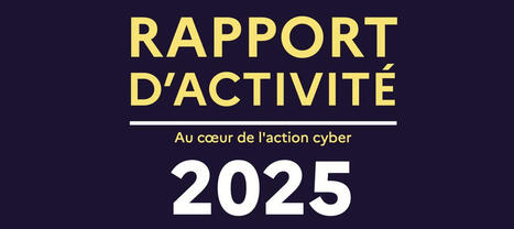 Cybermalveillance.gouv.fr d&eacute;voile les tendances de la menace cyber en France ... | Renseignements Strat&eacute;giques, Investigations & Intelligence Economique | Scoop.it