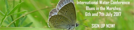 International Conference blues in the Marshes | Biodiversit&eacute; | Scoop.it