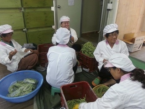 South Korea: Ground Zero for Food Sovereignty and Community Resilience - FPIF | Peer2Politics | Scoop.it