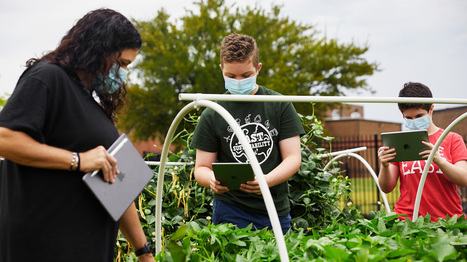 Lehrerin für Naturwissenschaften aus Dallas bringt Schülern die Natur mit dem iPad näher › | Medien & Informatik – Zyklus 2 | Scoop.it