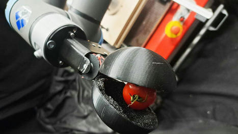 Et si un robot conçu par Chat-GPT récoltait vos tomates? - EPFL | Pour innover en agriculture | Scoop.it