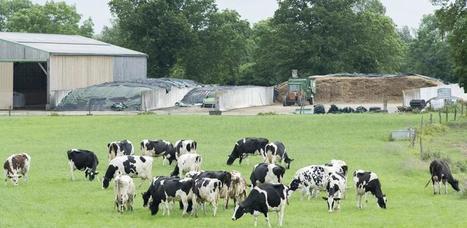 Prix du lait : Une « volatilité exacerbée » depuis 2007 | Lait de Normandie... et d'ailleurs | Scoop.it