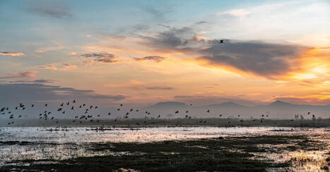 Rainfall Buries a Mega-Airport in Mexico | by Anna Lagos | Wired.com | @The Convergence of ICT, the Environment, Climate Change, EV and HEV Transportation & Distributed Renewable Energy | Scoop.it
