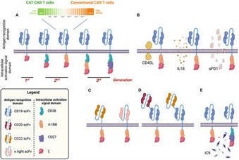 Frontiers | Chimeric Antigen Receptor T-Cell Therapy in Paediatric B-Cell Precursor Acute Lymphoblastic Leukaemia: Curative Treatment Option or Bridge to Transplant? | Pediatrics | Hematology | Scoop.it