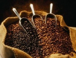 Le cours du café toujours plombé par la faiblesse du real brésilien - Le Blog Finance (Blog) | Chicorée | Scoop.it