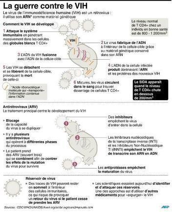 Sida : l'histoire génétique du VIH reconstituée pour la première fois | actualités VIH, hépatites, IST, santé sexuelle | Scoop.it