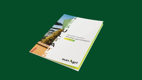 Livre blanc Sun&rsquo;Agri Vendanges 2025 : +28% de rendement sur le sauvignon, +99% sur le cinsault avec l&rsquo;agrivolta&iuml;sme | Tecsol Quotidien - Tecsol | Pour innover en agriculture | Scoop.it