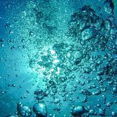 ANALYSE / Nouveau paradigme des sciences de la formation | Innovation et transformation p&eacute;dagogique | Scoop.it