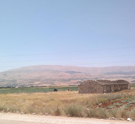 LIBAN-EGYPTE : Comment le CIHEAM aide-t-il les agriculteurs à mieux produire pour subvenir à leurs besoins ? | CIHEAM Press Review | Scoop.it