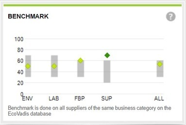 CNS erhält Silver Rating von EcoVadis - CNS GmbH | Erfolgsgeschichten von EcoVadis Kunden | Scoop.it